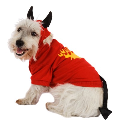 Duende verde   $  310,00