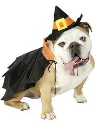 La bruja    $  220,00