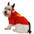 /album/fotogaleria-coleccion-disfraz-/disfraz-de-diablito-perro-jpg/
