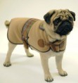 /album/fotogaleria-coleccion-invierno/a564x599xropa-para-perros-1-jpg-pagespeed-ic-crhrhwarw9-jpg/