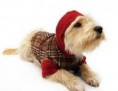 /album/fotogaleria-coleccion-invierno/imagesca96wmtm-jpg/