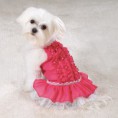 /album/a1/vestido-perrita-jpg1/